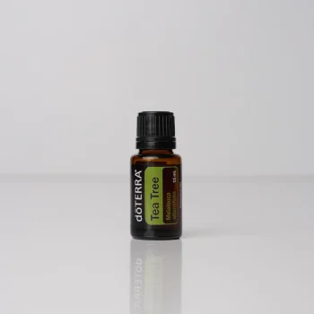 Tea Tree 15 mL-Essential Oils-Product Image-Plain-US Market-Horizontal-1